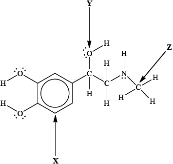 N13/4/CHEMI/HPM/ENG/TZ0/14_01