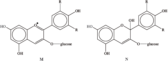 N13/4/CHEMI/HP3/ENG/TZ0/05