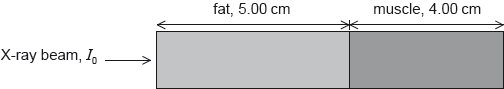 M18/4/PHYSI/HP3/ENG/TZ2/X15.b.ii