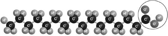 M18/4/CHEMI/SP3/ENG/TZ1/01.a.i/M