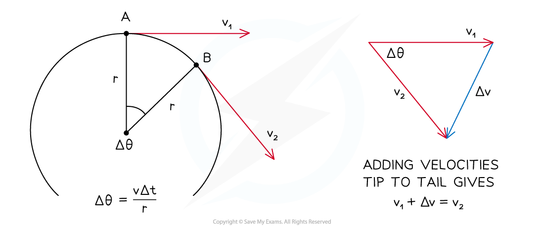 6-1-3-direction-of-acceleration_sl-physics-rn