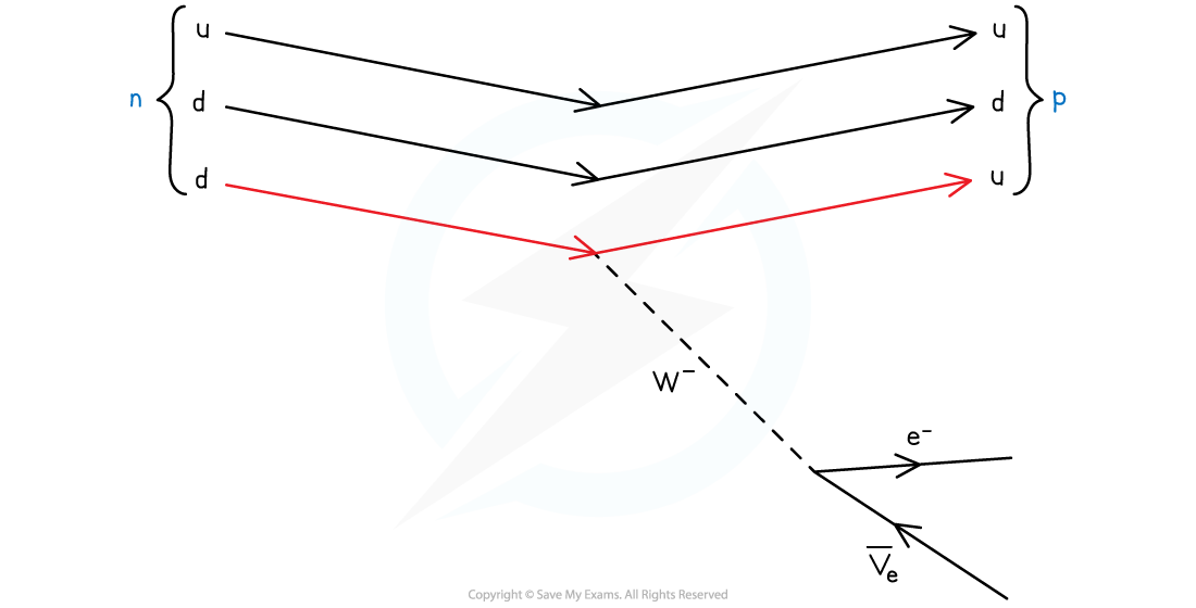 7-3-6-beta-minus-decay_sl-physics-rn