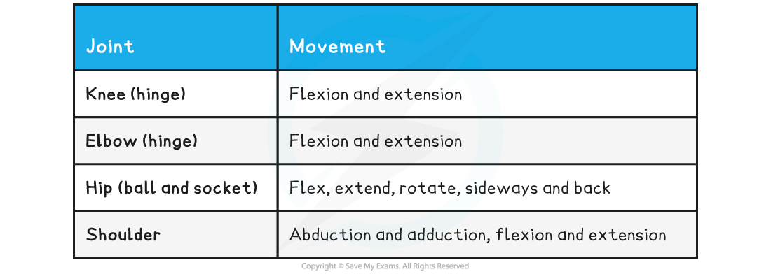 joints-and-movement