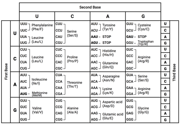 2-6-hard-q4