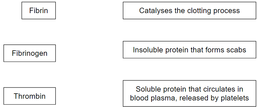 fibrin-mcq