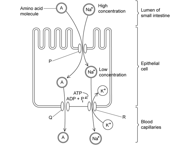 6-1-hard-q2a