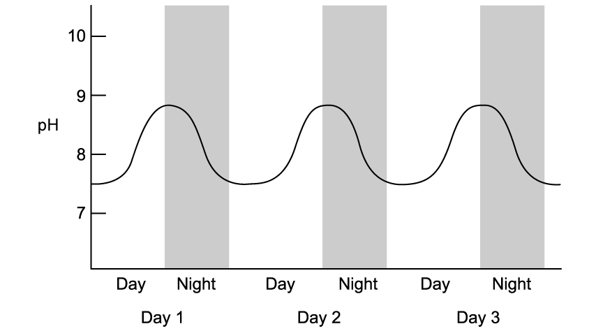 WzsQZCyz_h-5