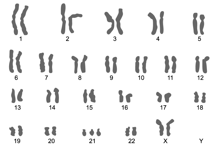 fPz8KBpJ_e-5