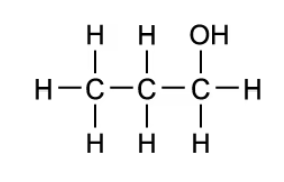 q3-easy-option-b-2-1-metabolism--water-ib-dp-biology-sl