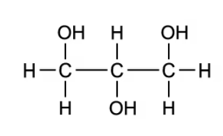 q3-easy-option-c-2-1-metabolism--water-ib-dp-biology-sl