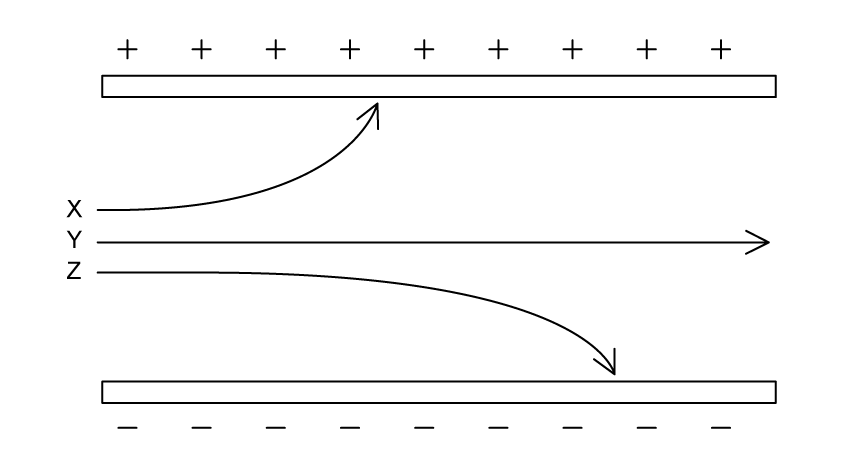 10-2-ib-hl-mcqs-easy-q10