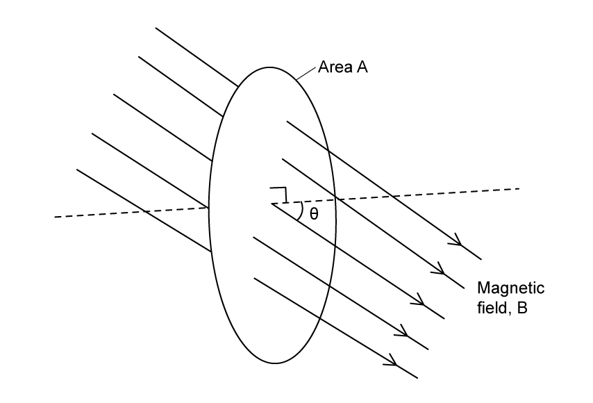 11-1-ib-hl-mcqs-easy-q8-qun