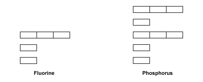 2-1-ib-sl-sq-easy-q4c