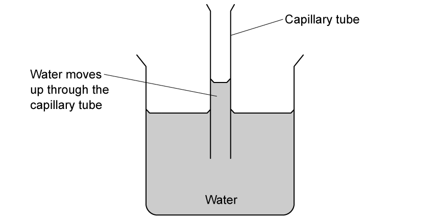 capilarity-and-adhesion-sq