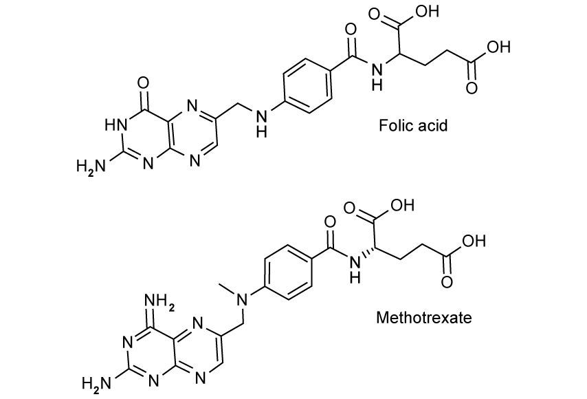 folic-acid-and-methotrexate-example-of-an-inhibitor-sqfolic-acid-and-methotrexate-example-of-an-inhibitor-sq