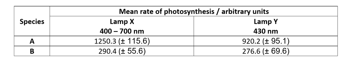 rate-of-photosynthesis-in-seaweed-sq