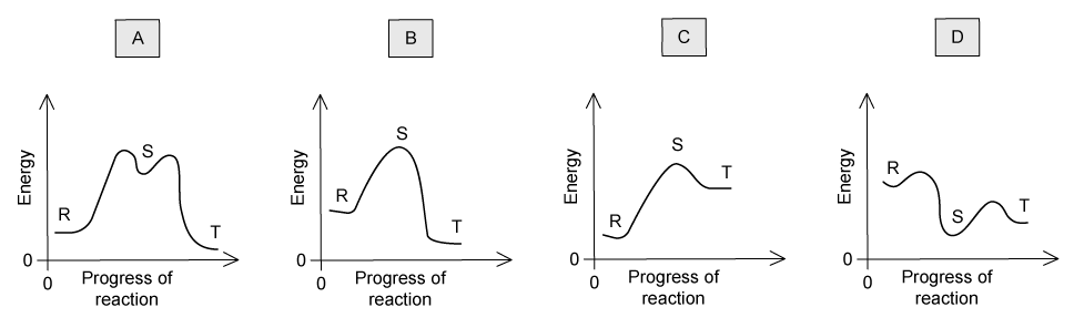 q3_5-3_ib_sl_easy_mcq