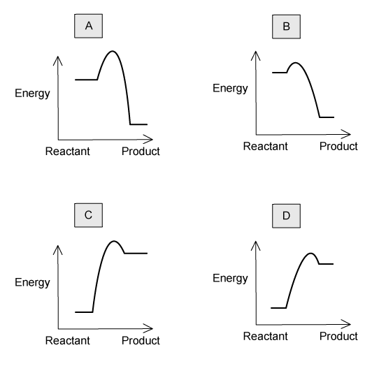 q8_5-3_ib_sl_medium_mcq