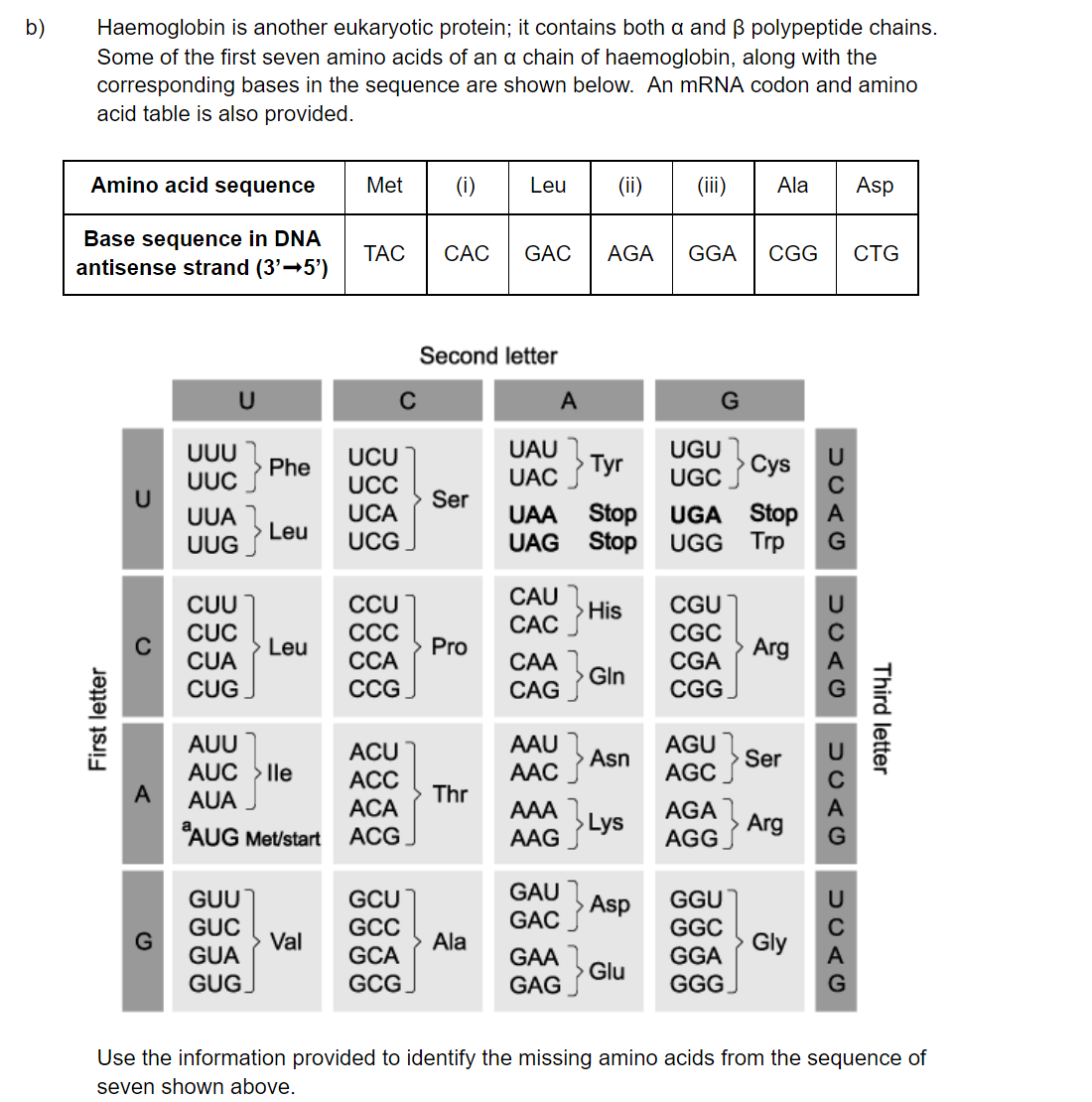 q1b_2-6-transcription-_-translation_medium_sq_ib_sl_biology