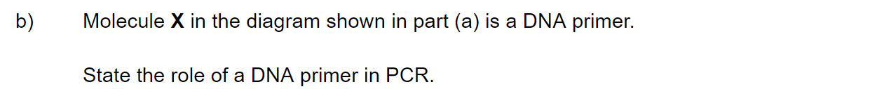 q3b_2-6-transcription-_-translation_medium_sq_ib_sl_biology