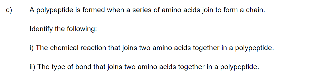 q4c_2-6-transcription-_-translation_medium_sq_ib_sl_biology