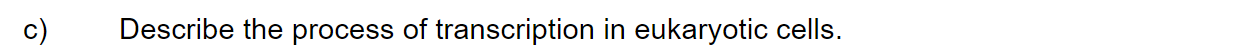 q5c_2-6-transcription-_-translation_medium_sq_ib_sl_biology