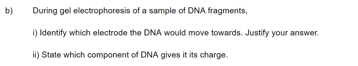 q1b_3-4-genetic-modification-_-biotechnology_sq_ib_sl_biology