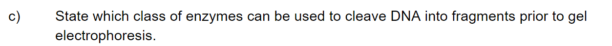 q1c_3-4-genetic-modification-_-biotechnology_sq_ib_sl_biology