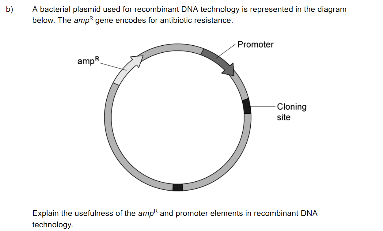 q3b_3-4-genetic-modification-_-biotechnology_sq_ib_sl_biology