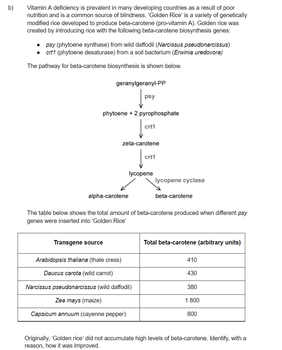 q4b_3-4-genetic-modification-_-biotechnology_sq_ib_sl_biology