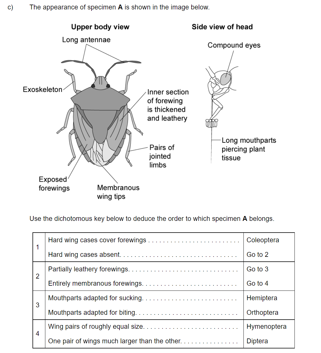 q2c_52-classification-_-cladistics_medium_sq_ib_sl_biology