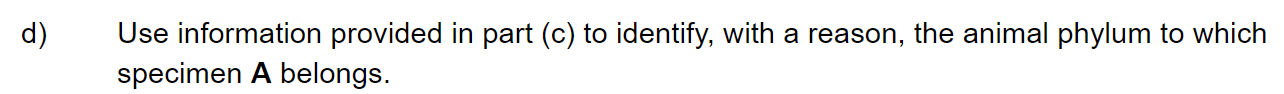 q2d_52-classification-_-cladistics_medium_sq_ib_sl_biology