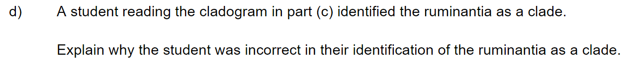 q4d_52-classification-_-cladistics_medium_sq_ib_sl_biology