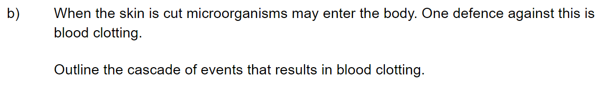 q1b_63-defence-against-infectious-disease_medium_sq_ib_sl_biology