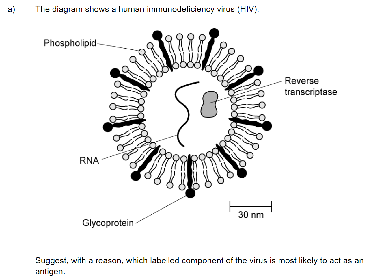 q4a_63-defence-against-infectious-disease_medium_sq_ib_sl_biology