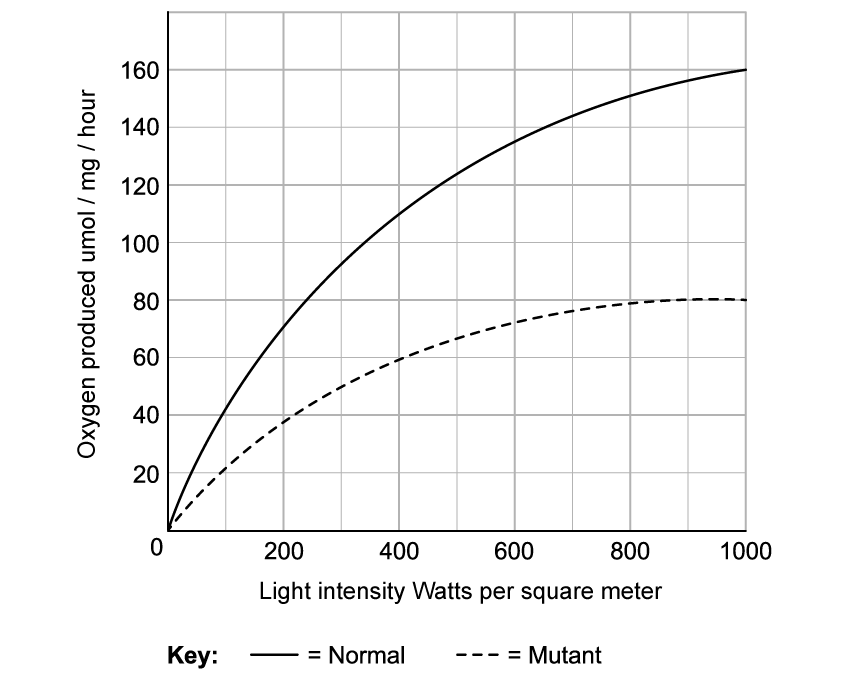 diagram-1