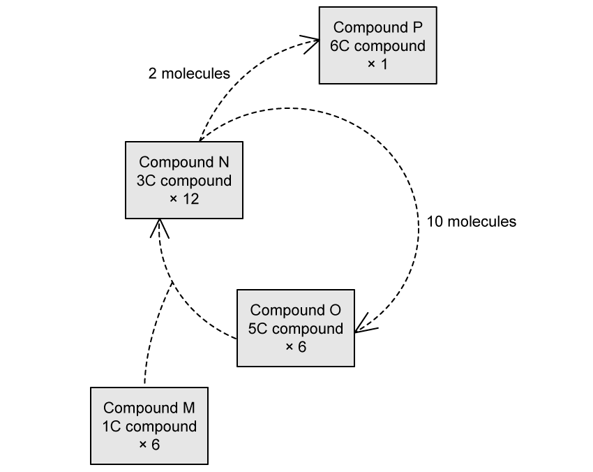 q5b_photosynthesis_medium_ib_hl_biology_sq