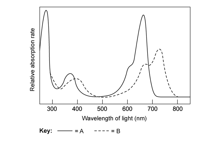 q1c_9-4_reproduction_in_plants_medium_ib_hl_biology_sq