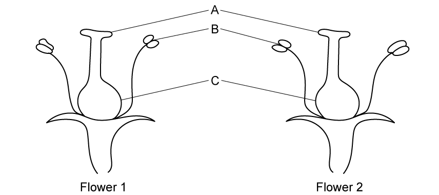 q2c_9-4_reproduction_in_plants_medium_ib_hl_biology_sq