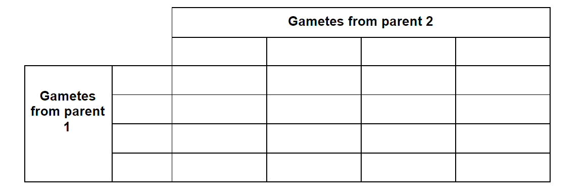 q1b_10-2_inheritance_medium_ib_hl_biology_sq