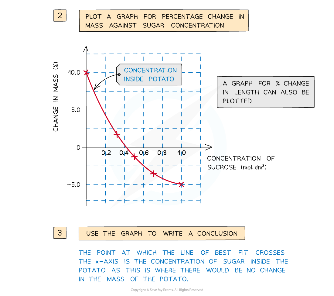 Osmosis Analysis_2, downloadable IGCSE & GCSE Biology revision notes