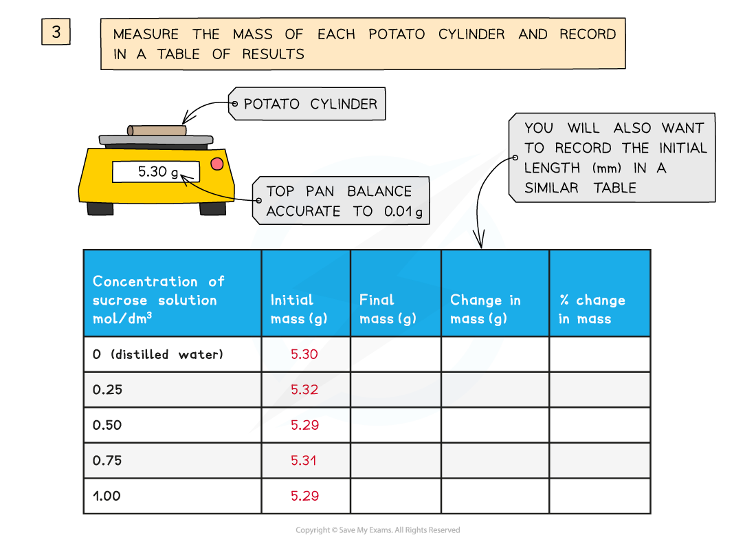 Osmosis Method_2, downloadable IGCSE & GCSE Biology revision notes