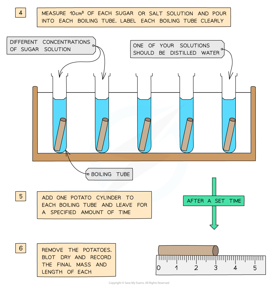 Osmosis Method_3, downloadable IGCSE & GCSE Biology revision notes