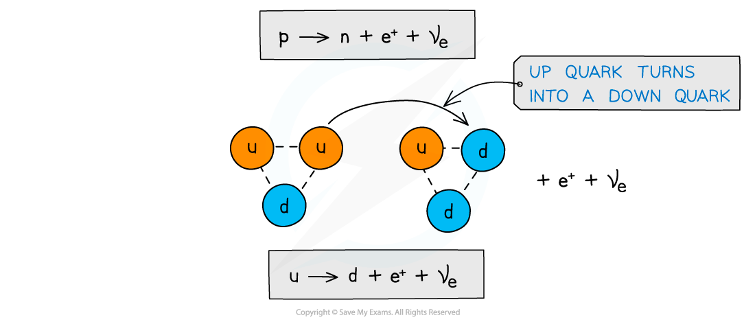 Beta plus decay quarks, downloadable AS & A Level Physics revision notes