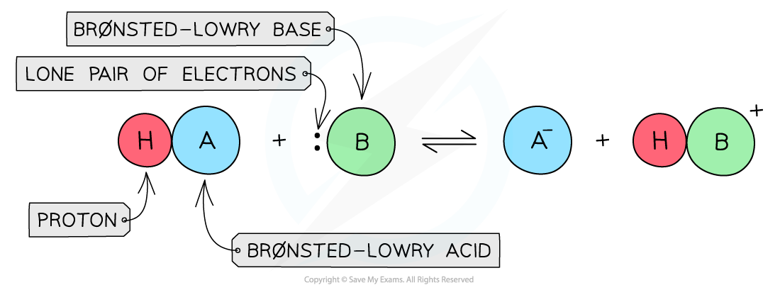 Equilibria Brønsted-Lowry Acid_Base Definition, downloadable AS & A Level Chemistry revision notes