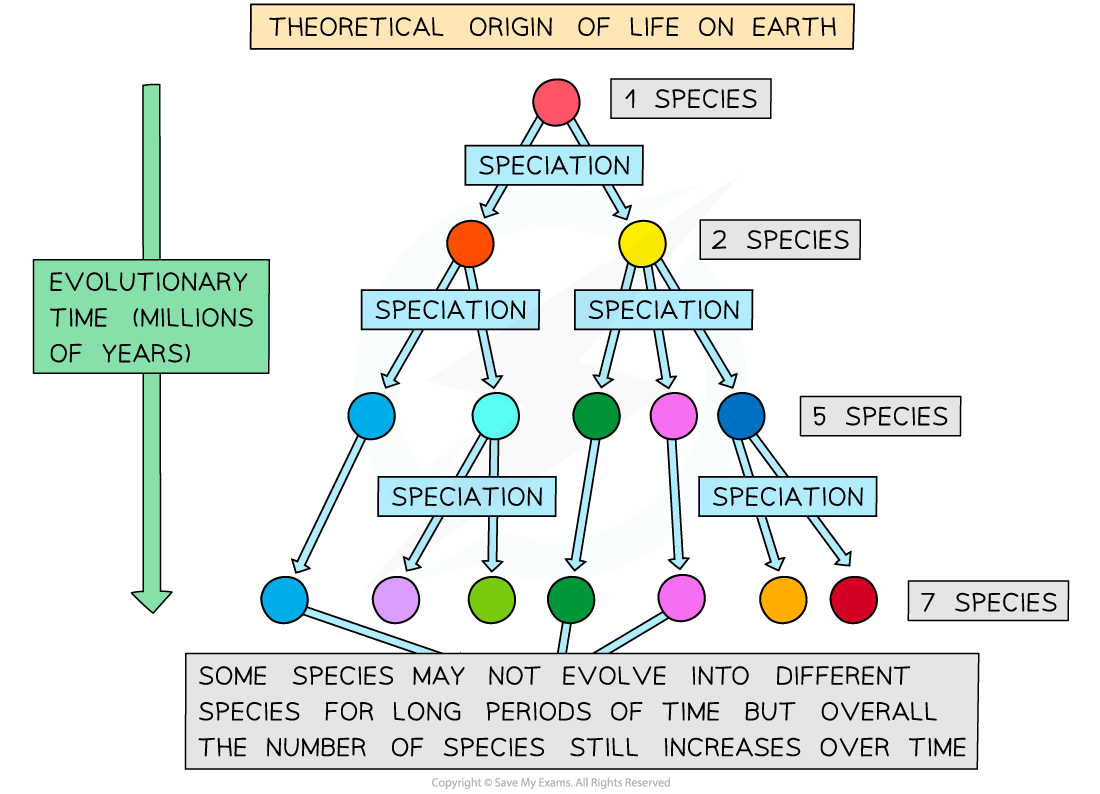 Diversity of species, downloadable AS & A Level Biology revision notes