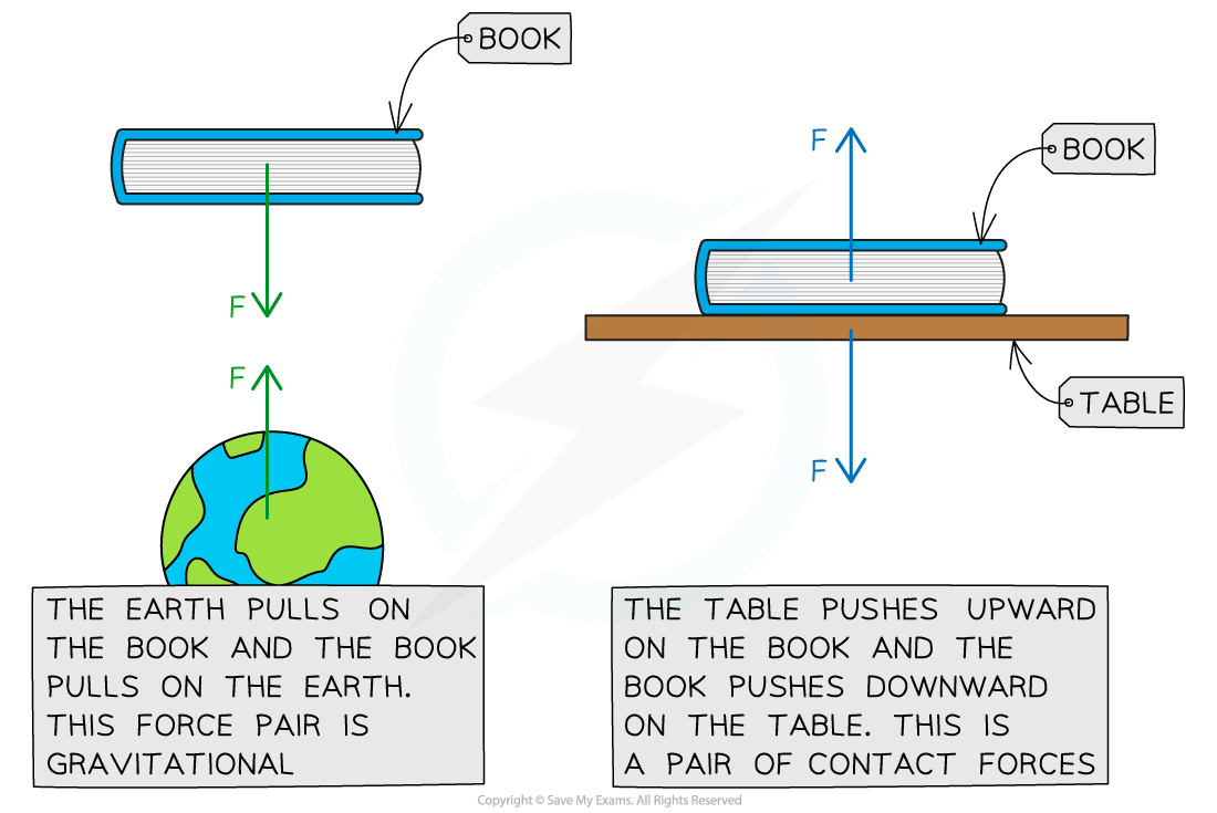 WE Newton Third law Answer image, downloadable IGCSE & GCSE Physics revision notes