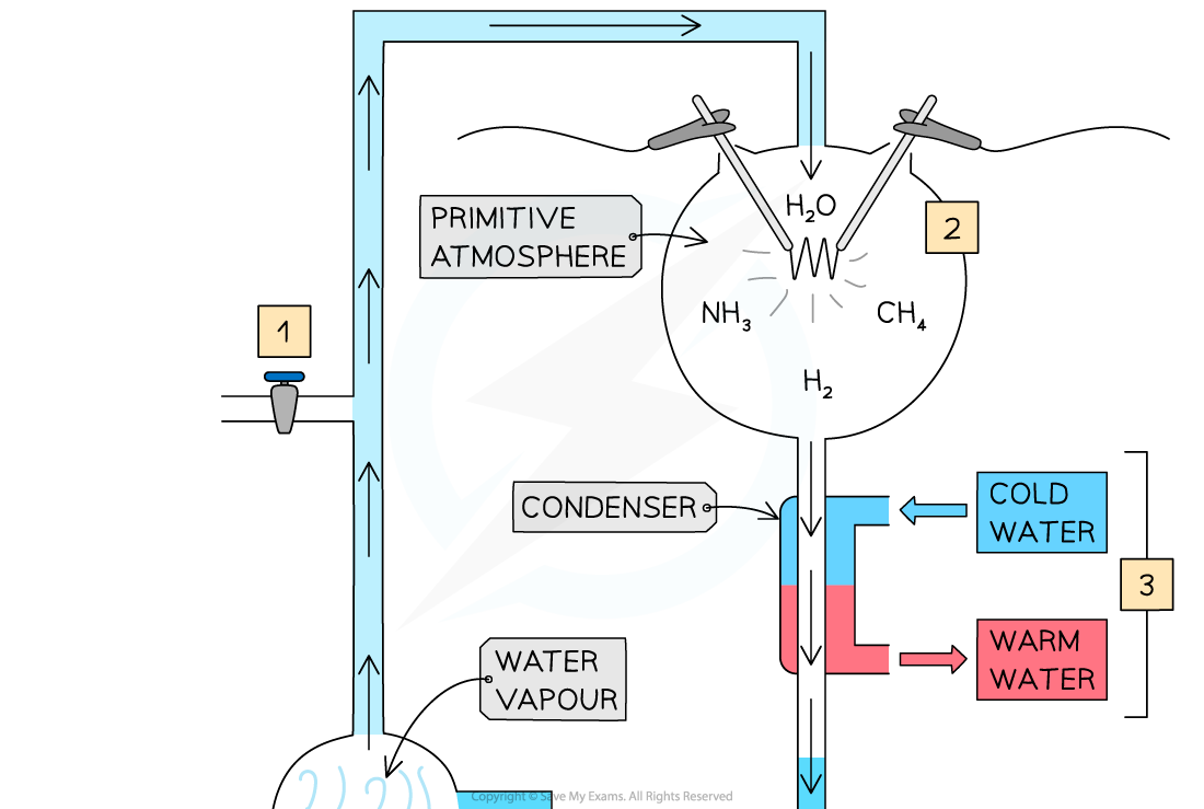 The apparatus used by Miller and Urey 1, downloadable IB Biology revision notes