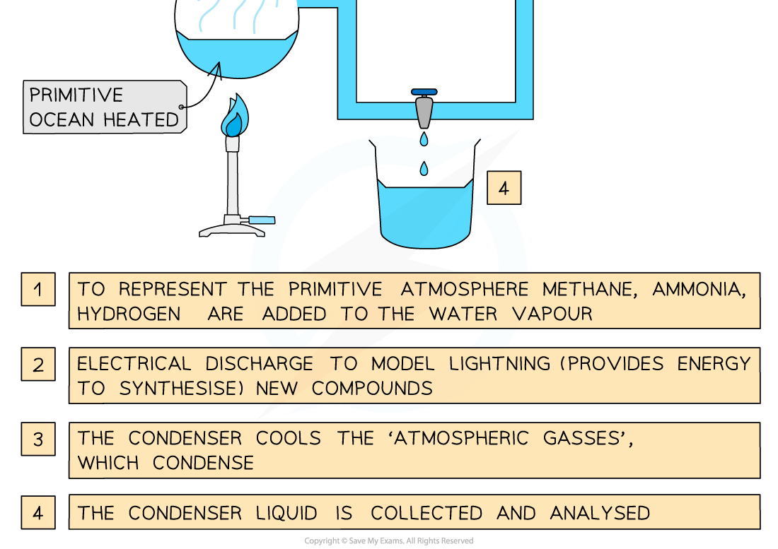 The apparatus used by Miller and Urey 2, downloadable IB Biology revision notes