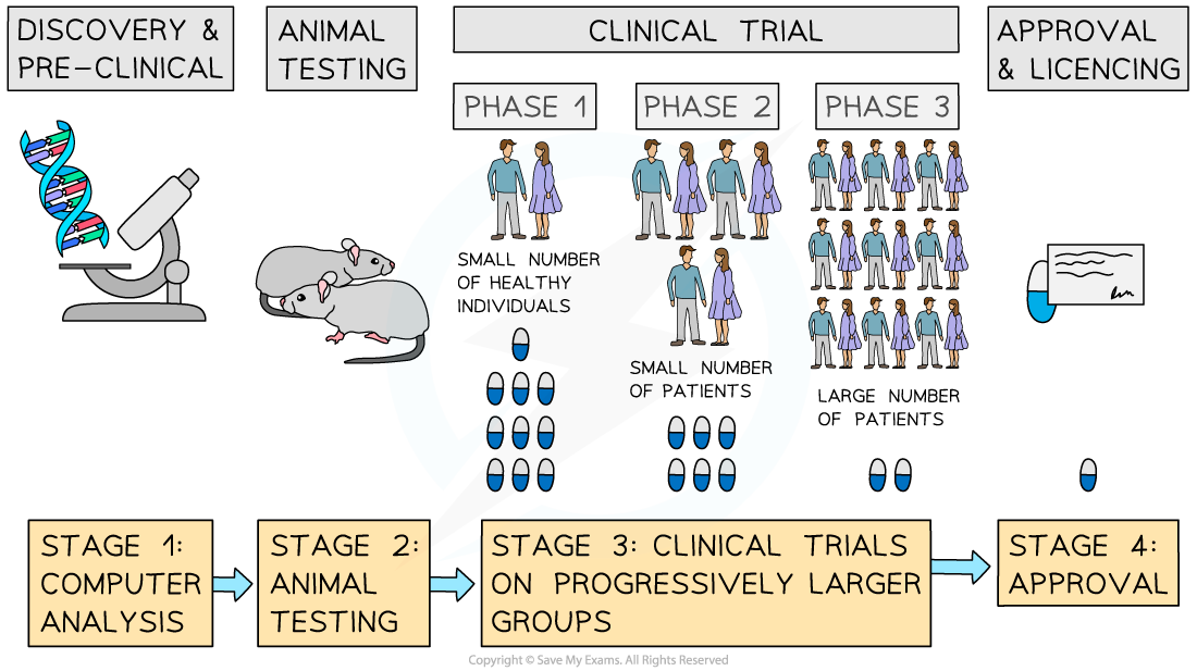 Drugs testing protocol, downloadable IB Biology revision notes